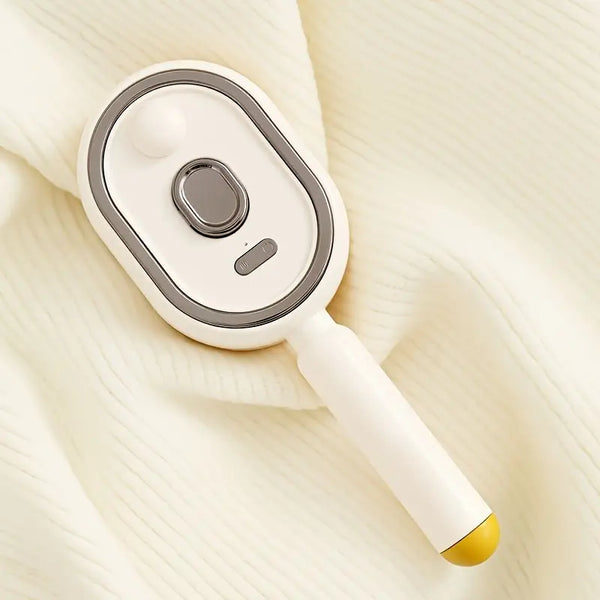 Daily Steam Brush